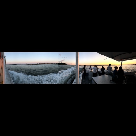 Meet your Posher, Shandrane - Picture 1 of 1